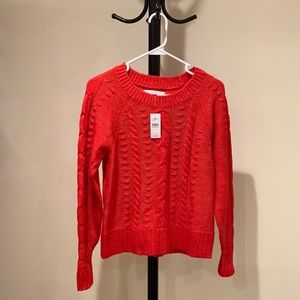 NEW Loft crew neck sweater